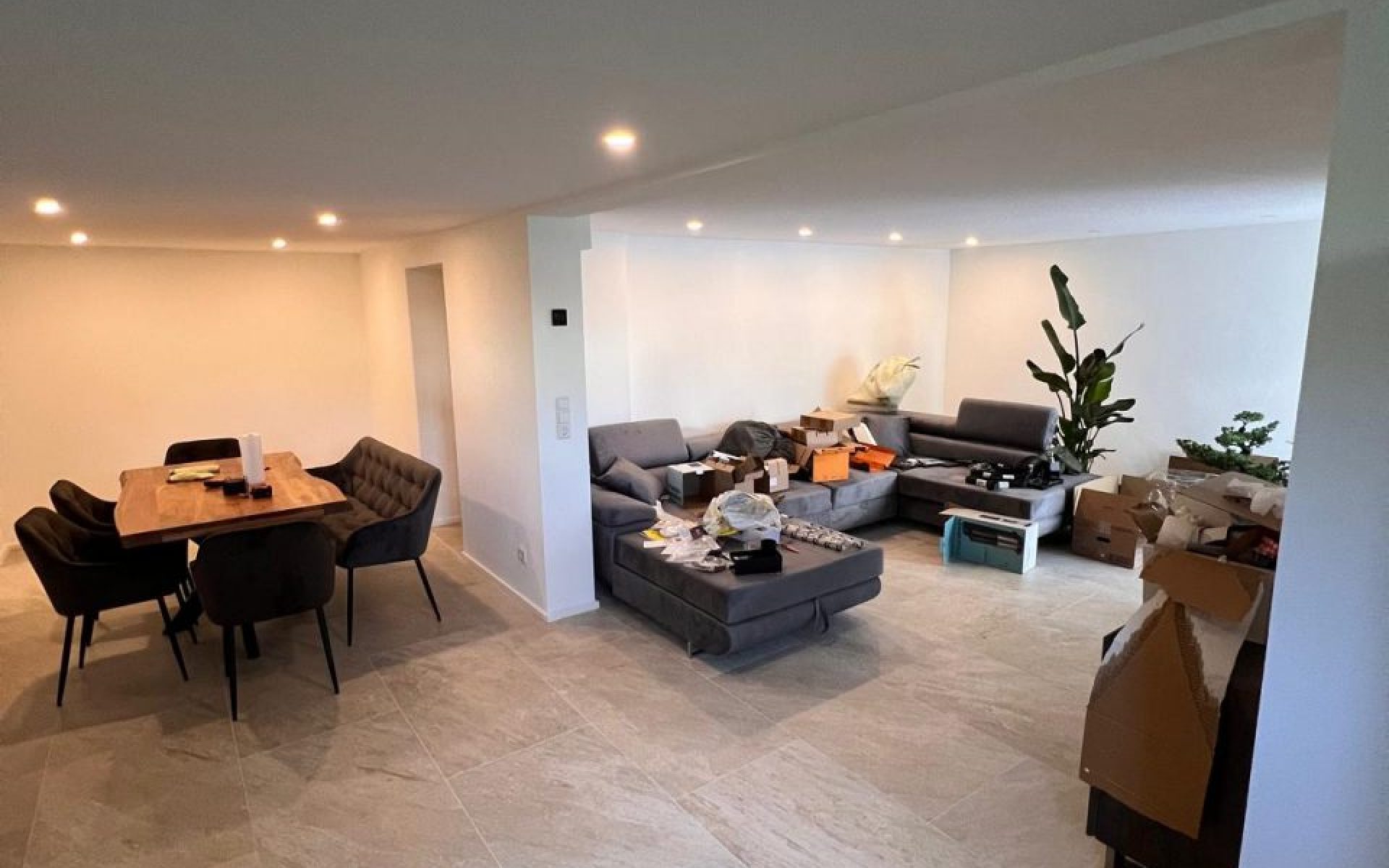 WhatsApp Bild 2025-08-08 um 15.35.22_882abfcd